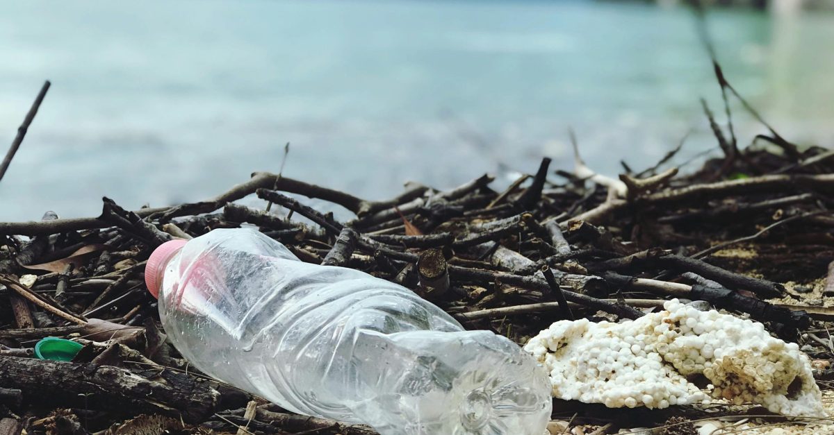 pexels photo 2409022 2409022 Discarded plastic bottle on a Malaysian beach, highlighting environmental pollution.